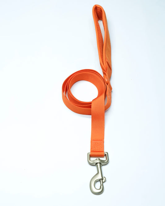 Aprikosenkuss Cordélia Leine