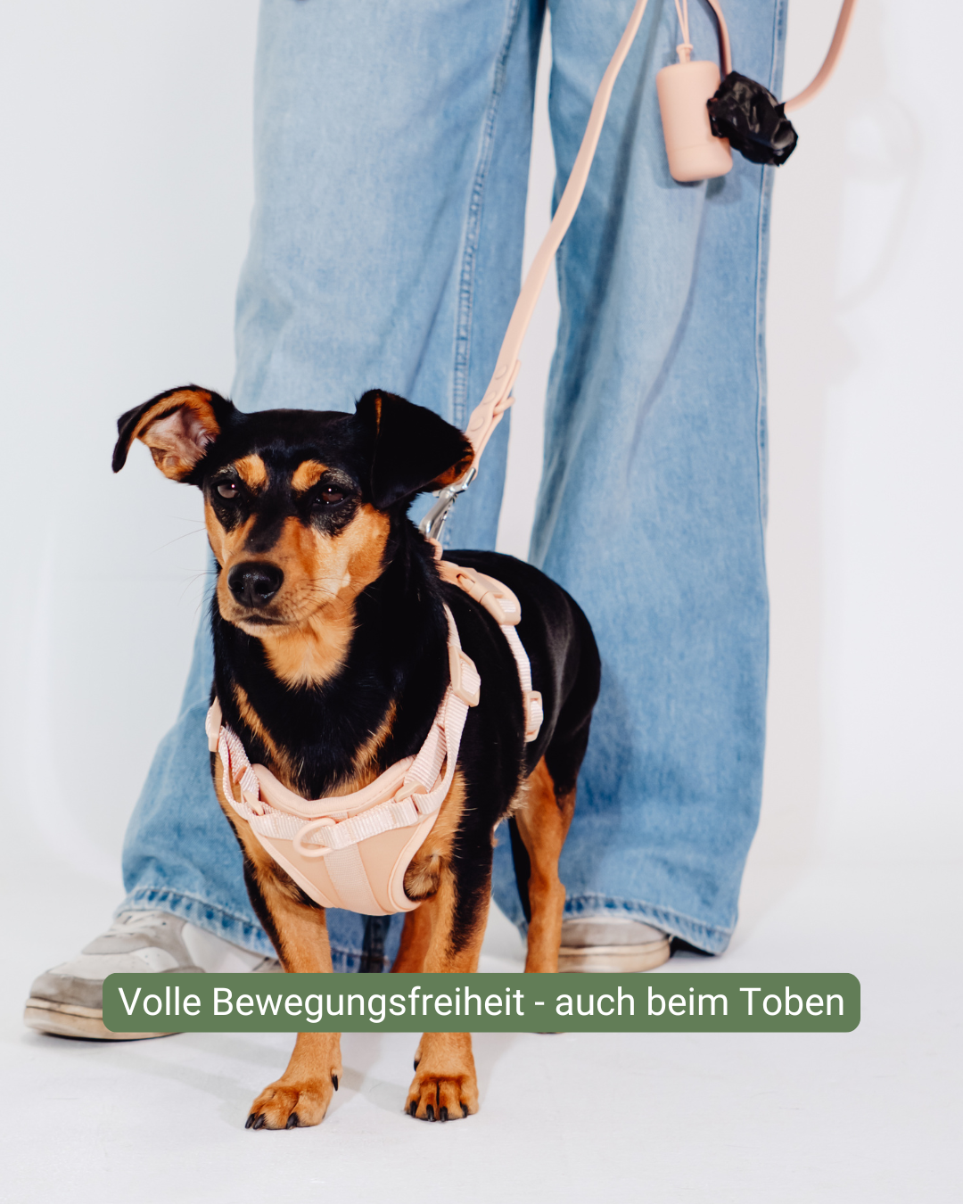Pfirsich Velvy Geschirr Set