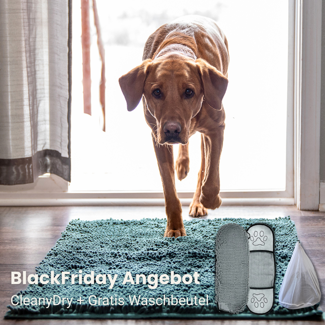 CleanyMat und CleanyDry & Gratis Waschbeutel