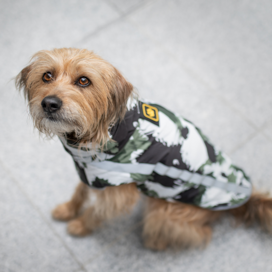 Active+ Thermo Hundemantel