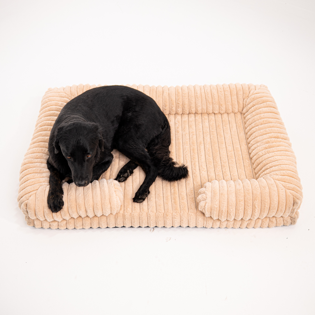Lunero DeepSleep - orthopädisches Hundebett