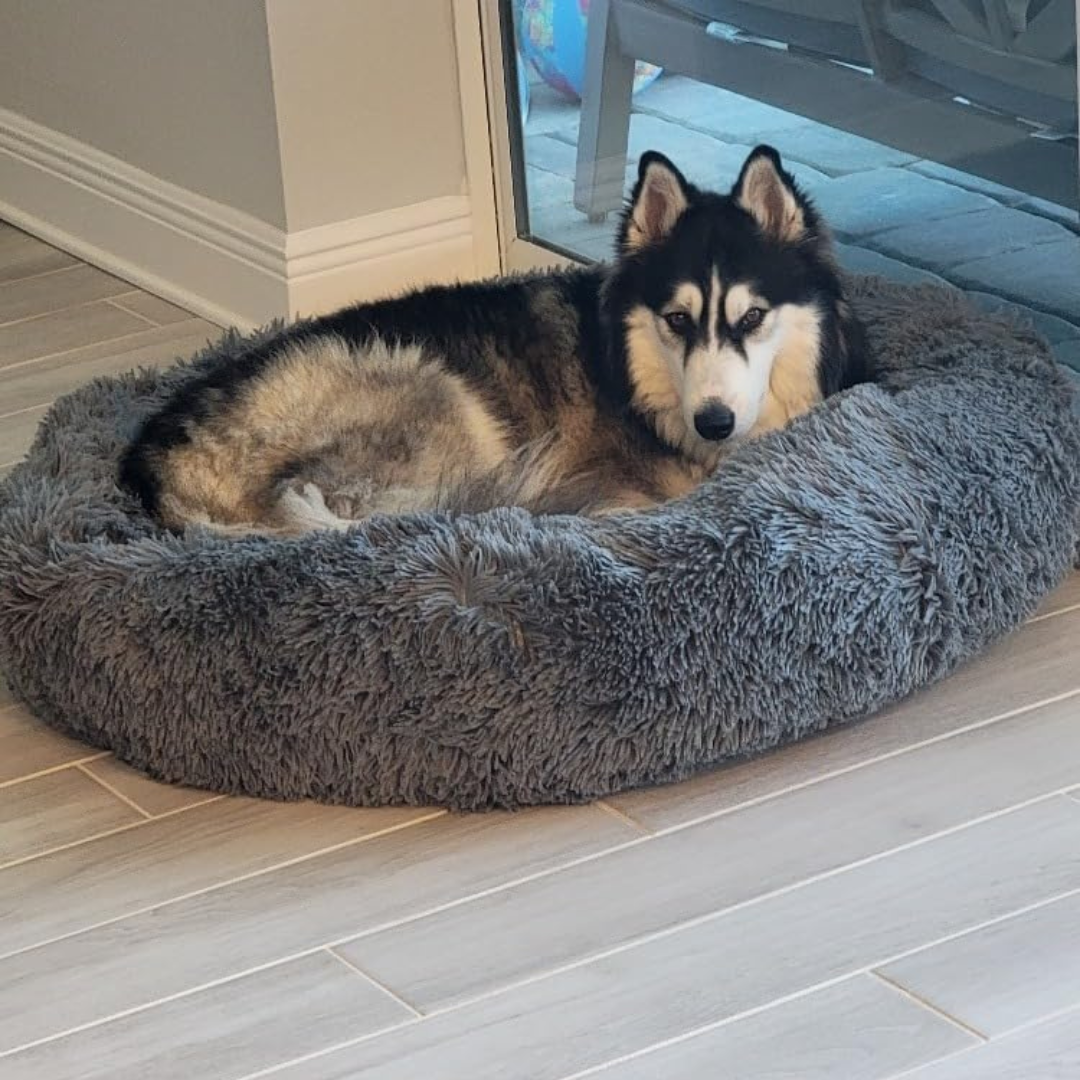 Cloud - Kuscheliges Hundebett