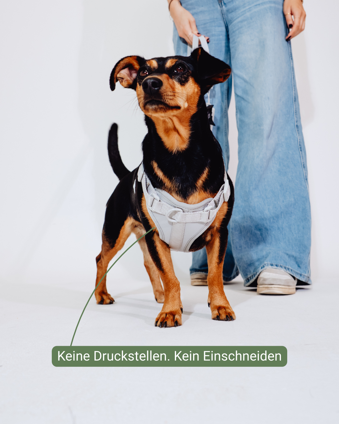 Graphit Velvy Geschirr Set