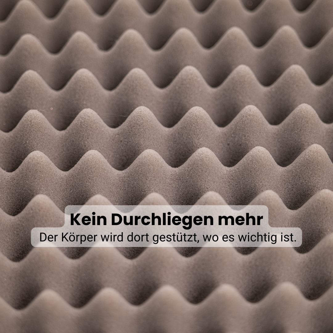 Lunero DeepSleep - orthopädisches Hundebett