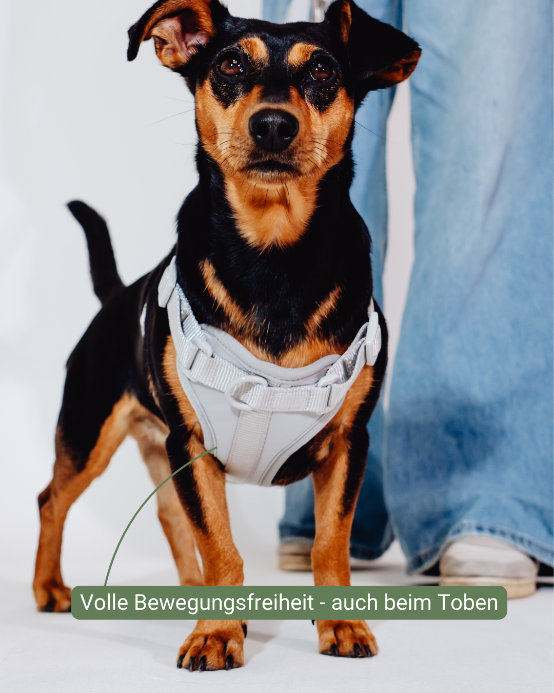 Graphit Velvy Geschirr Set