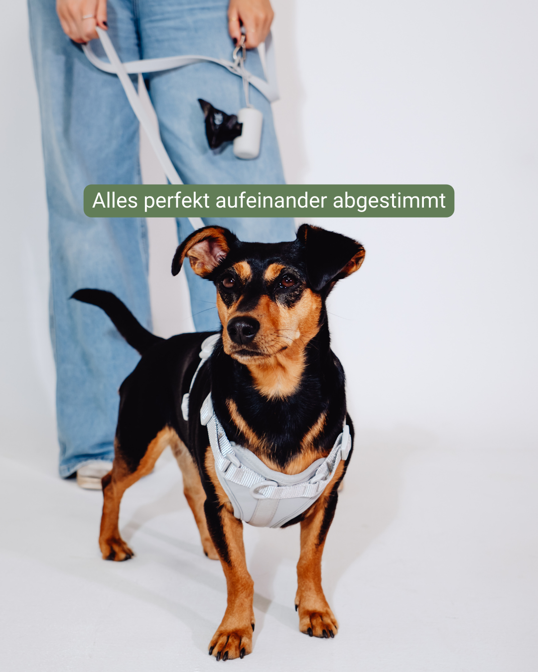 Graphit Velvy Geschirr Set