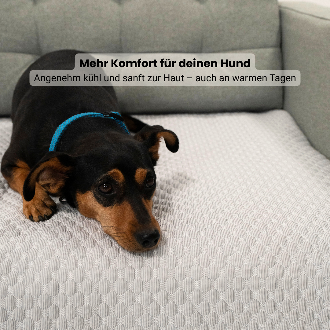 Sofa Guard - Breeze