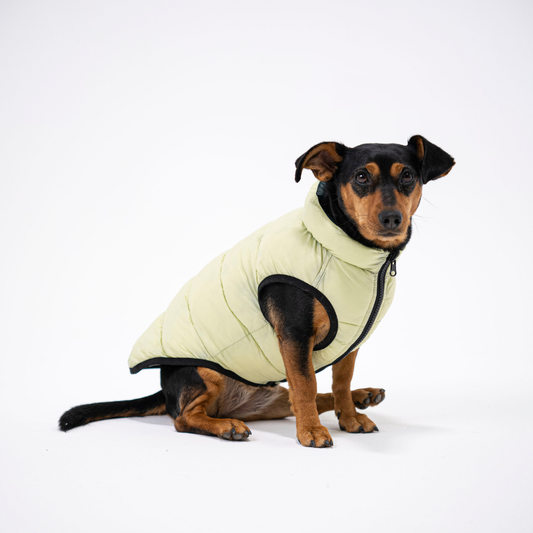 PocketFlip - Hundemantel