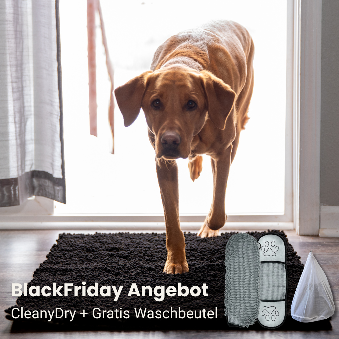 CleanyMat und CleanyDry & Gratis Waschbeutel