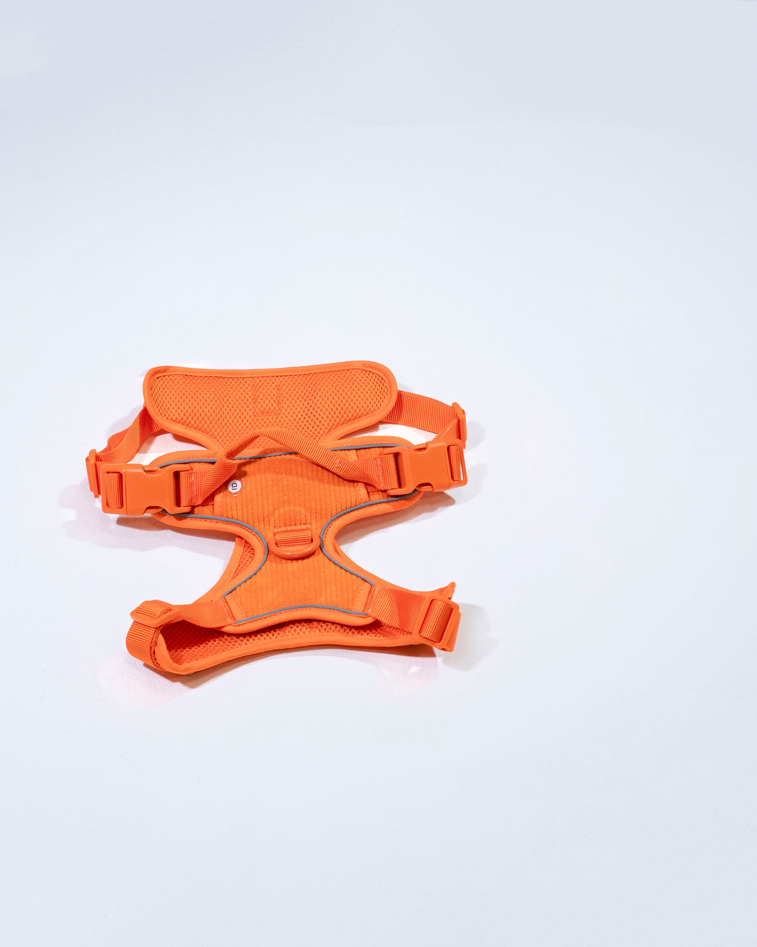 Aprikosenkuss Cordélia Geschirr