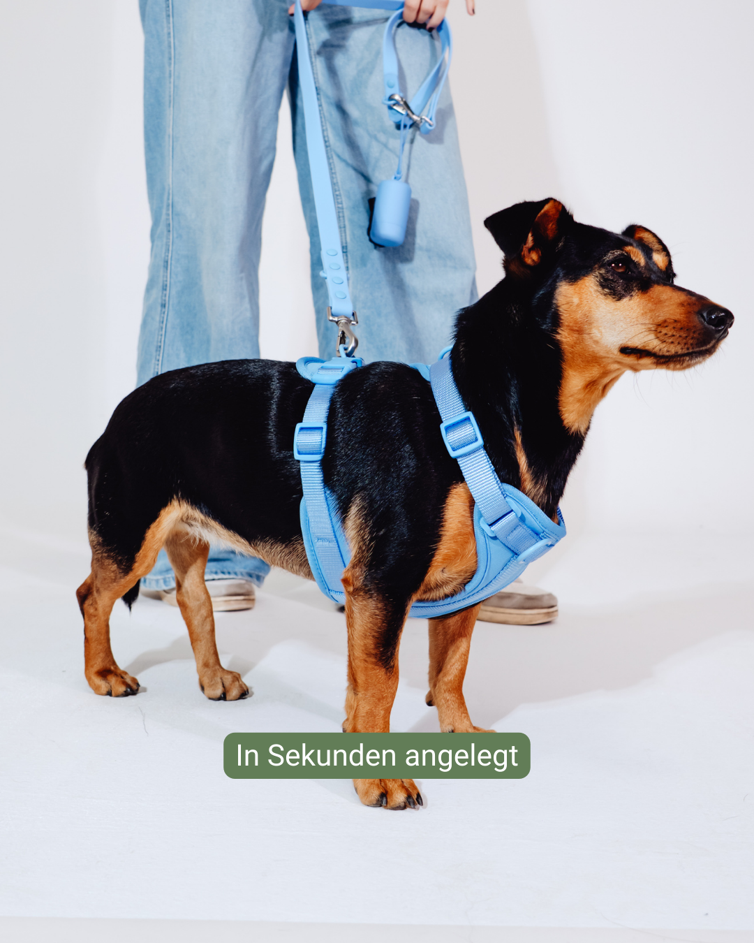 Nordwind Velvy Geschirr Set