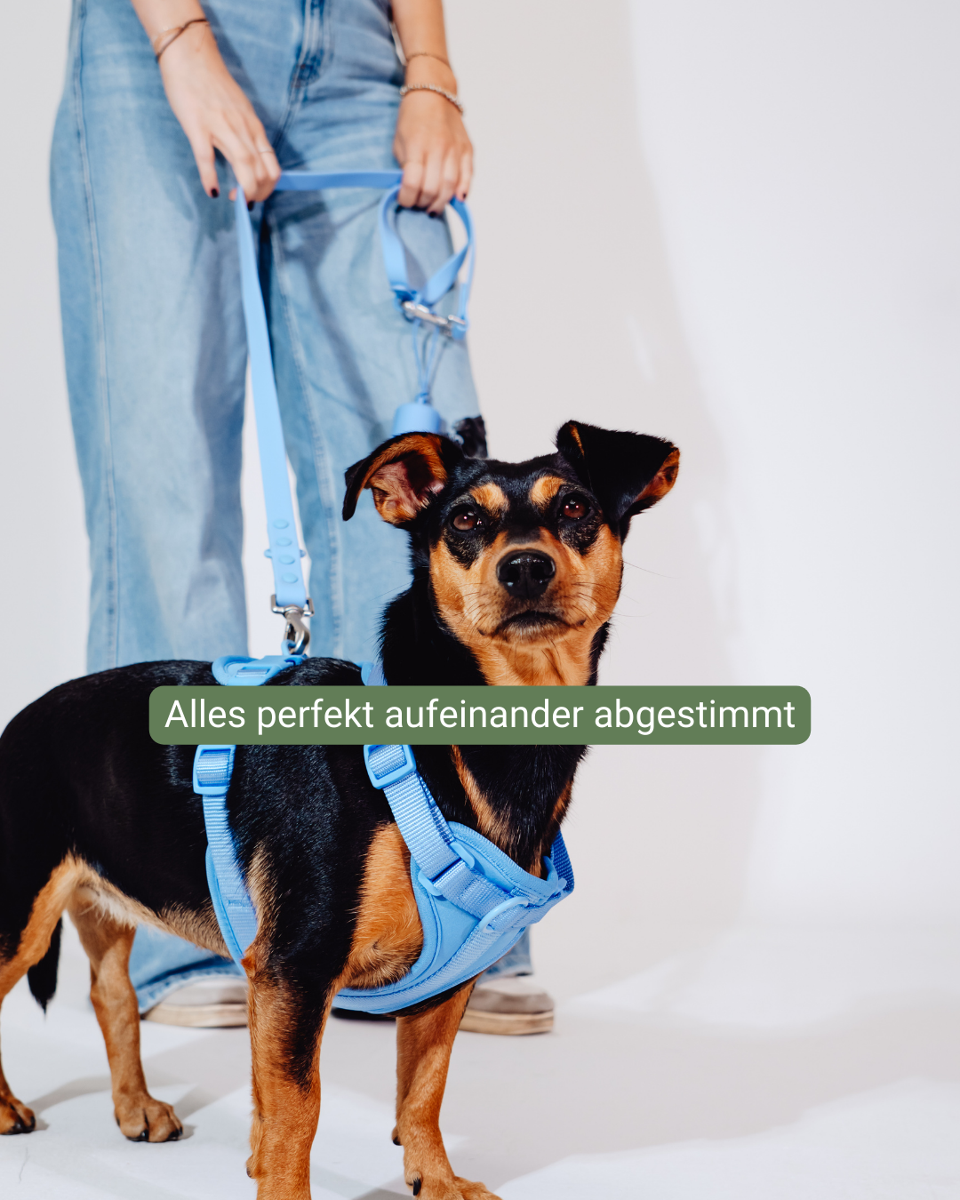 Nordwind Velvy Geschirr Set