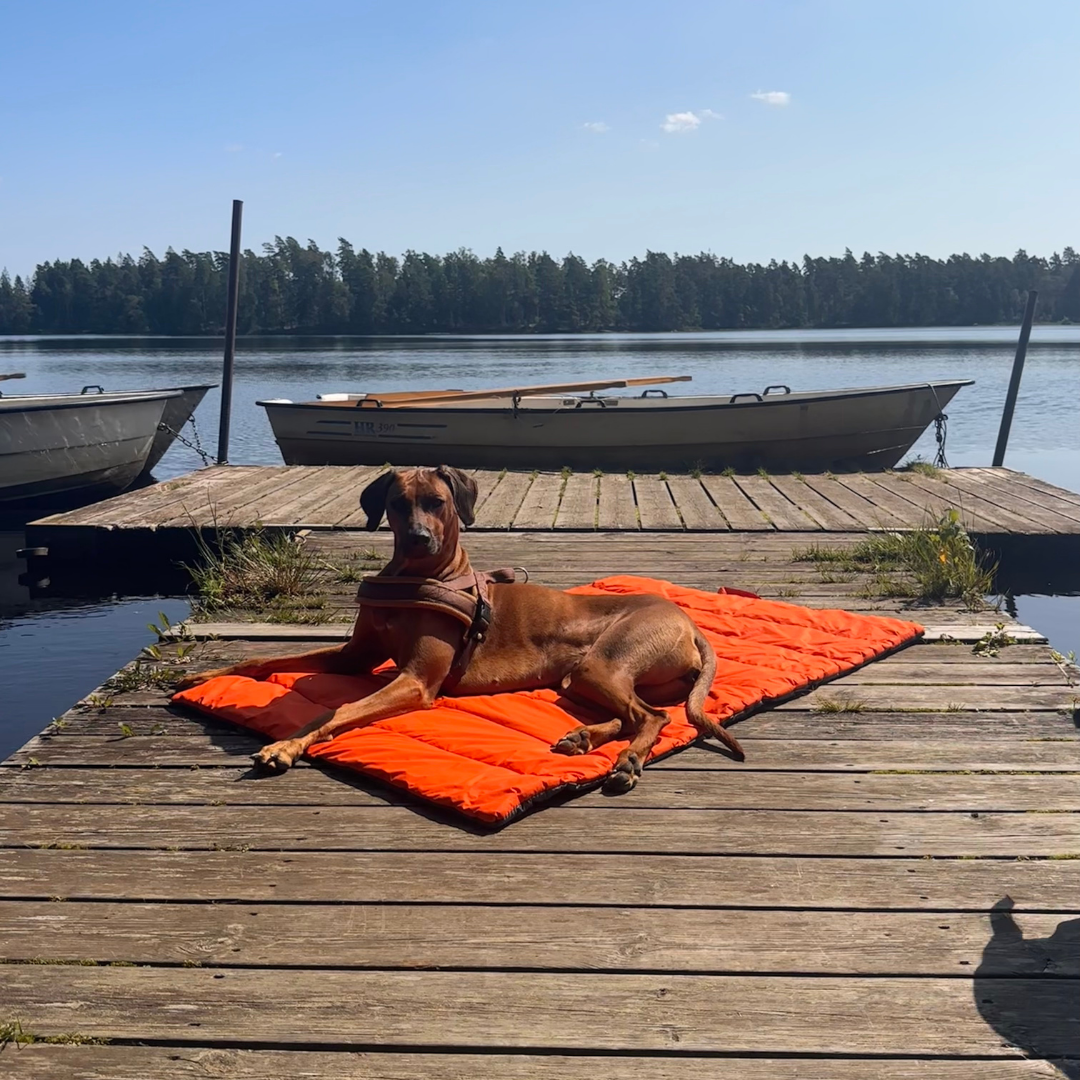 Nomad - Outdoor Hundematte in Aktion