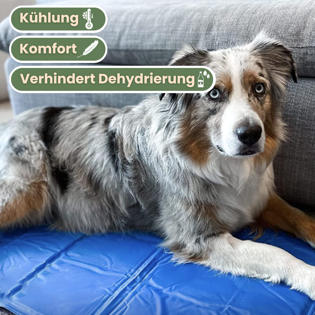 FreezePad - Kühlmatte
