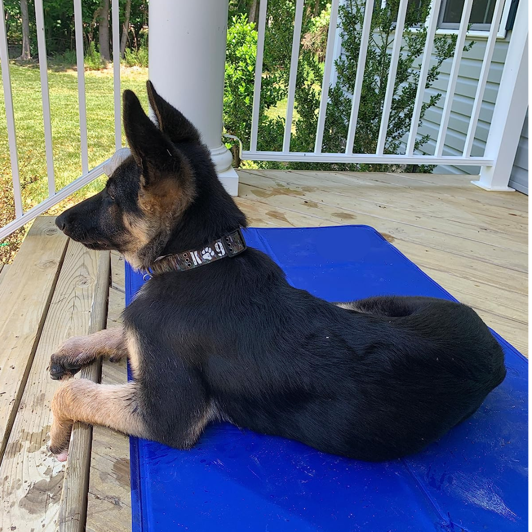 FreezePad - Kühlmatte