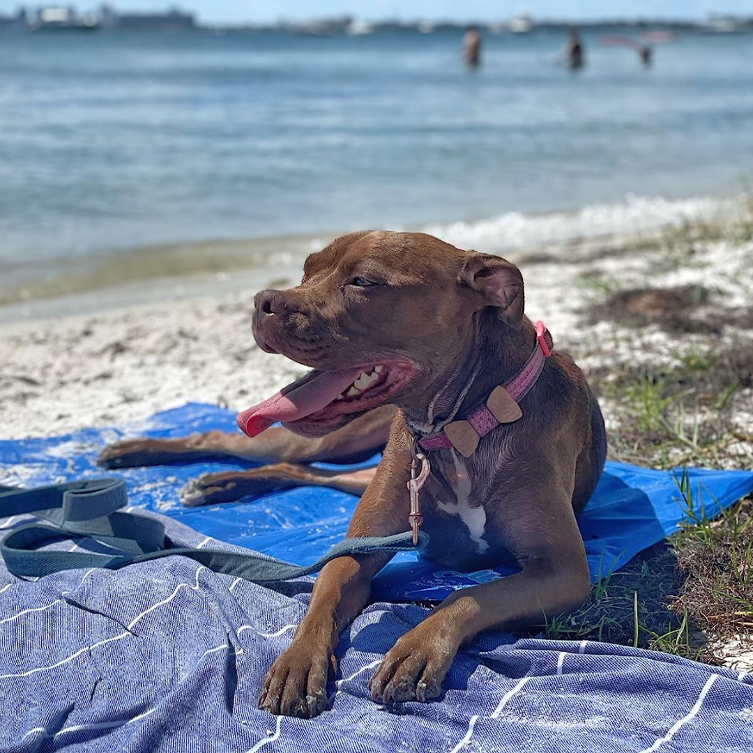 FreezePad - Kühlmatte