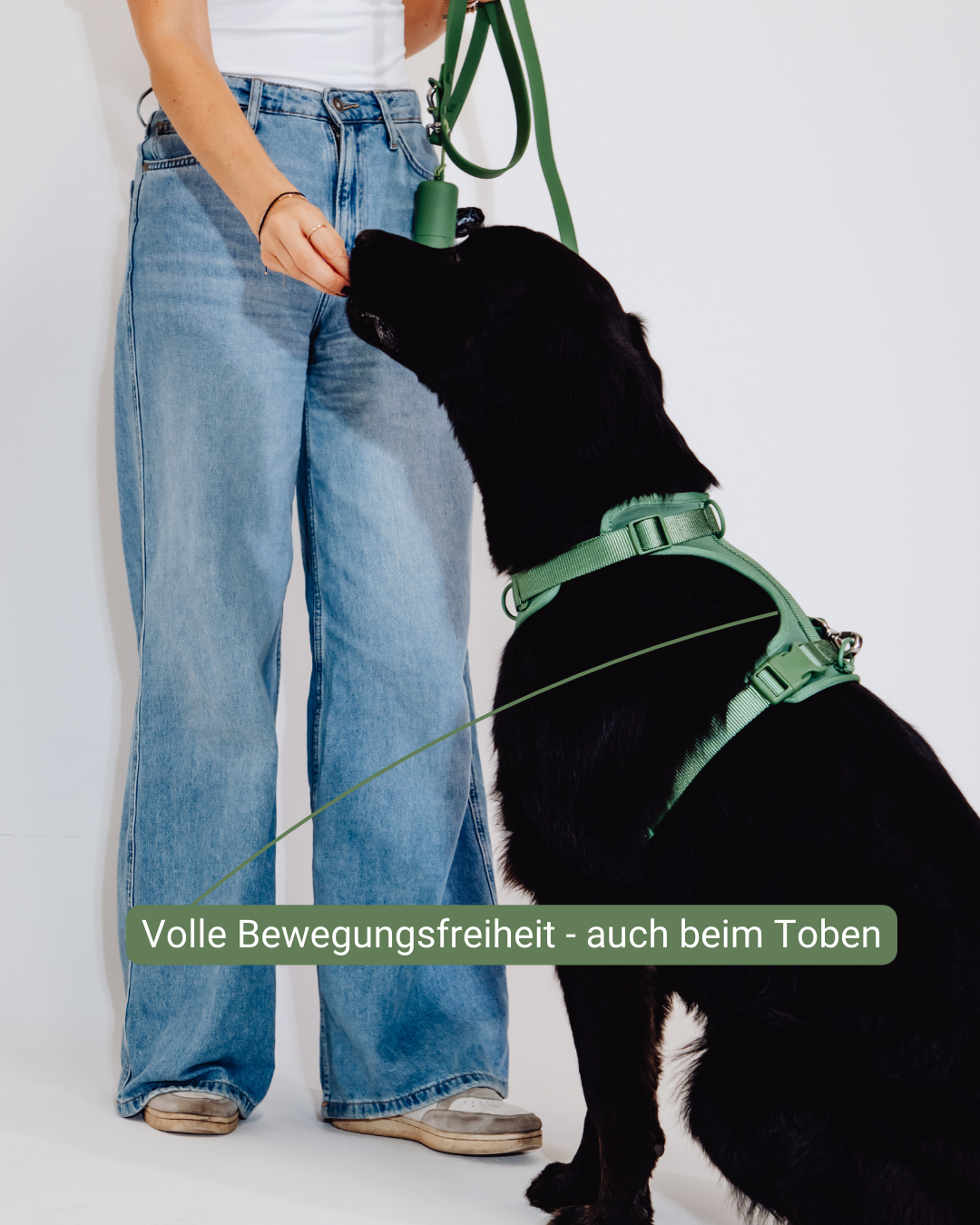 Waldpfote Velvy Geschirr Set