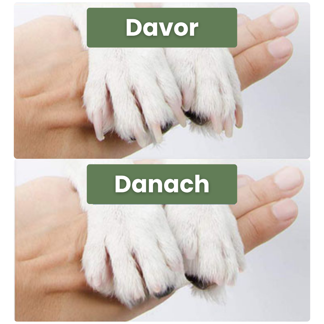 Lux - Krallenschleifer