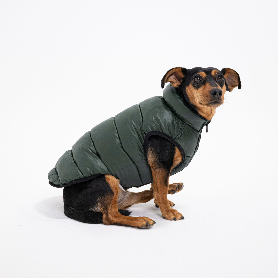 PocketFlip - Hundemantel