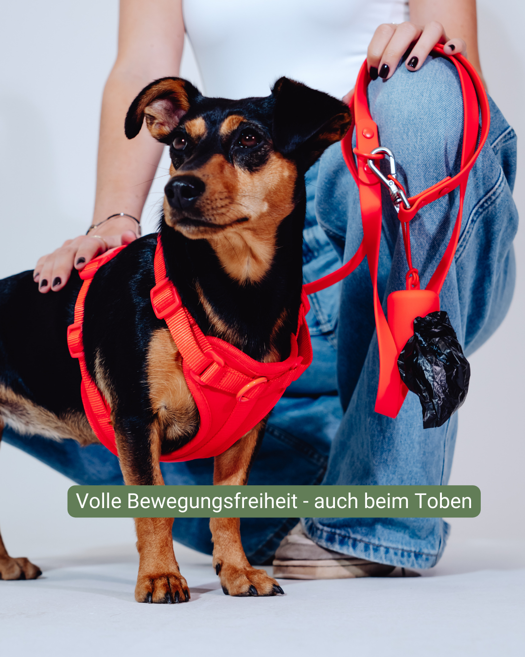 Berry Velvy Geschirr Set
