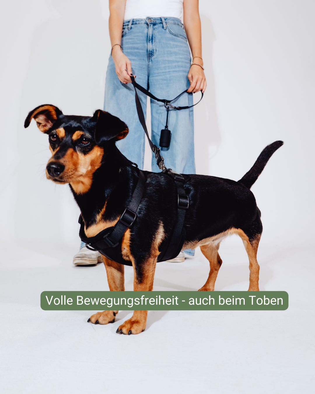 Midnight Velvy Geschirr Set
