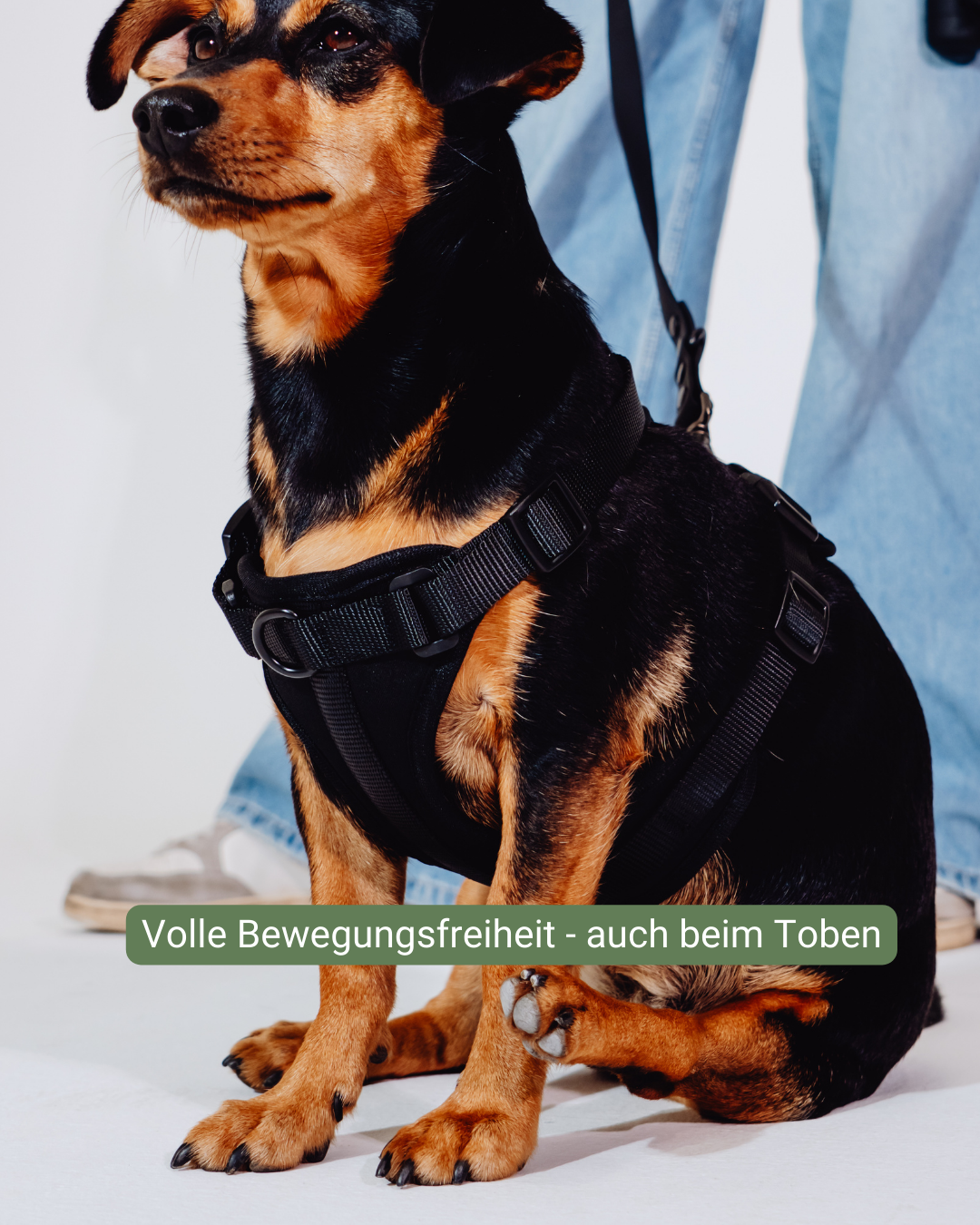 Midnight Velvy Geschirr Set