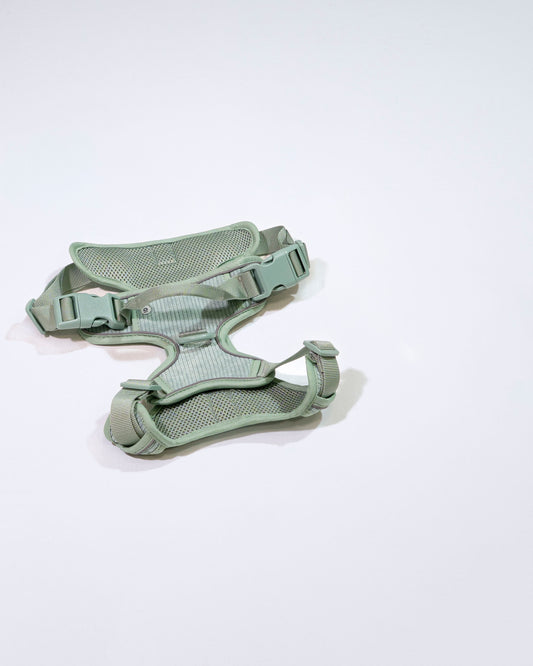 Matcha Grün Cordélia Geschirr