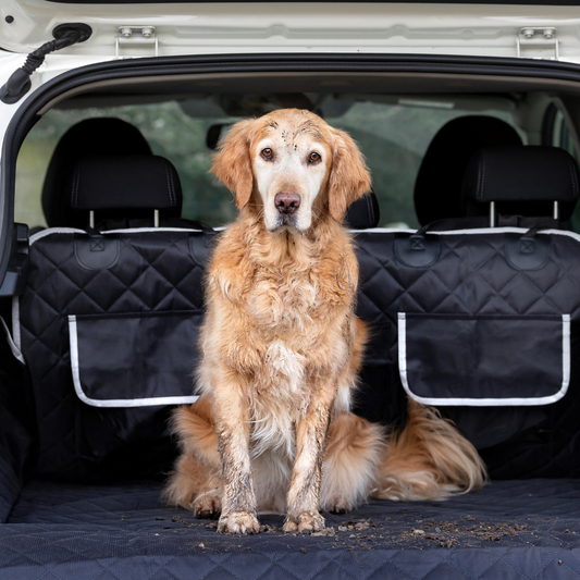 Cargo - Kofferraumschutz