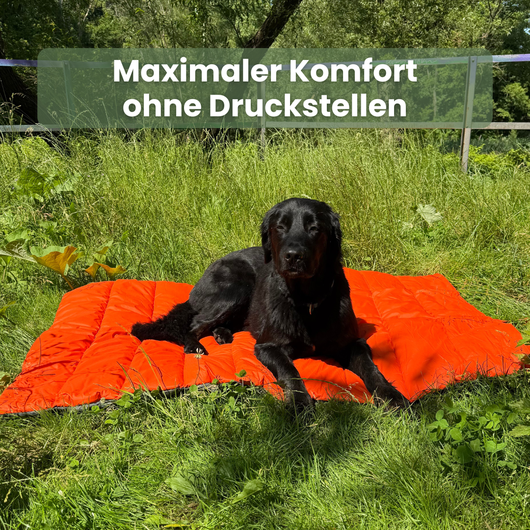 Nomad - Outdoor Hundematte