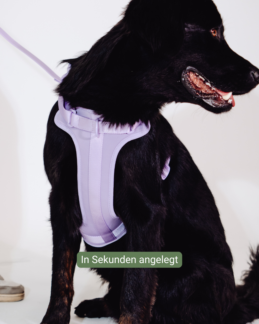 Lavendeltraum Velvy Geschirr Set