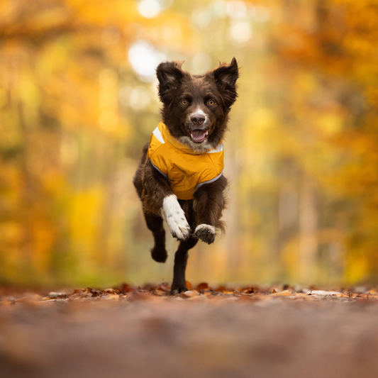 Active+ Thermo Fleece Hundemantel