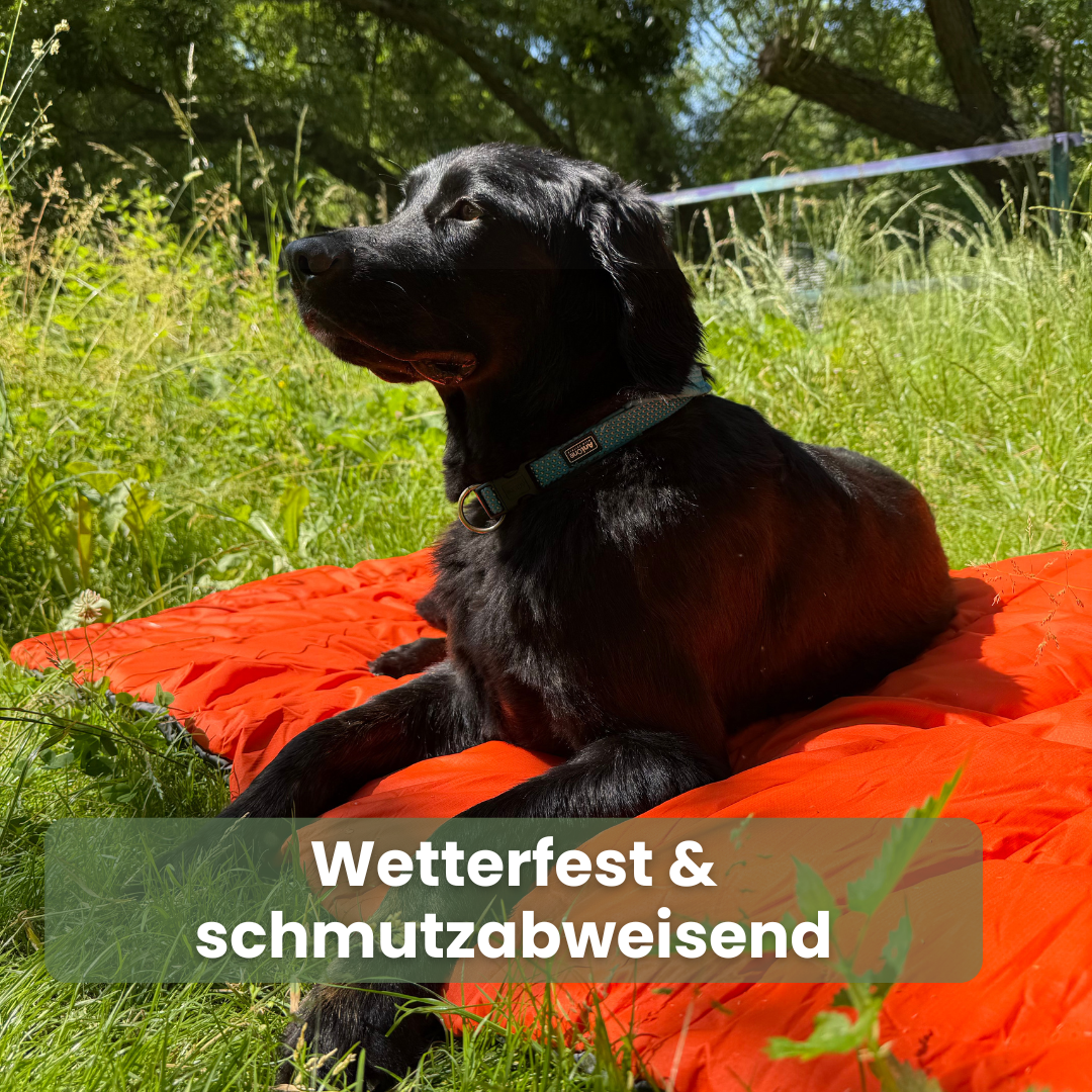 Nomad - Outdoor Hundematte