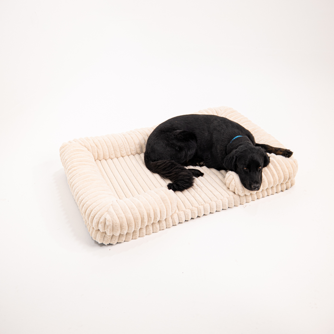 Lunero DeepSleep - orthopädisches Hundebett