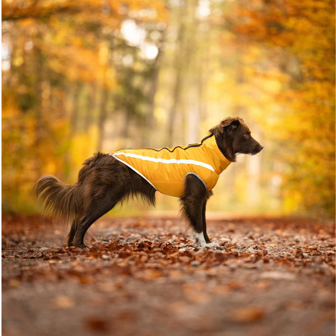 Active+ Thermo Fleece Hundemantel