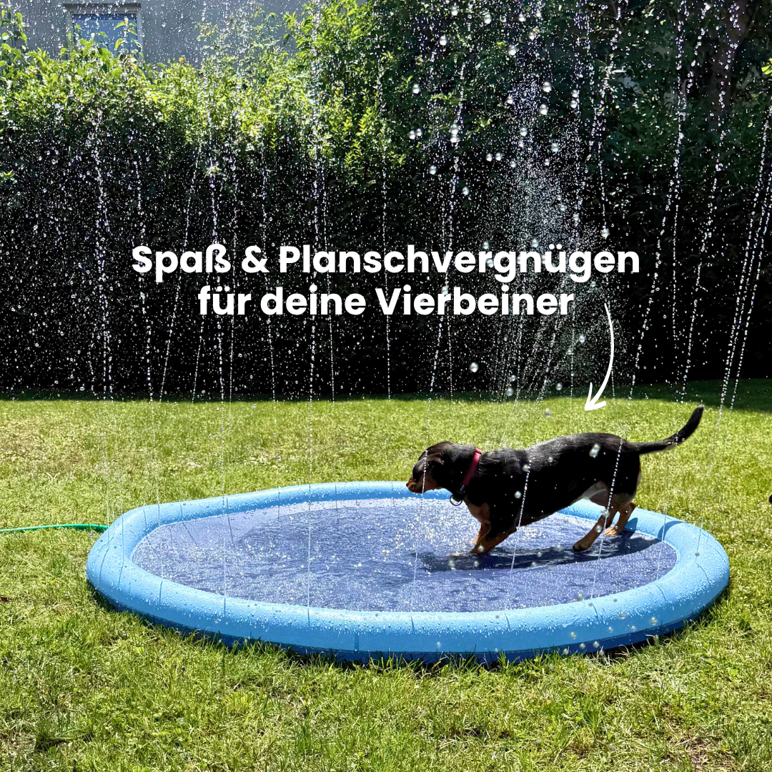 Furvana - Hundepool mit Fontänen Effekt