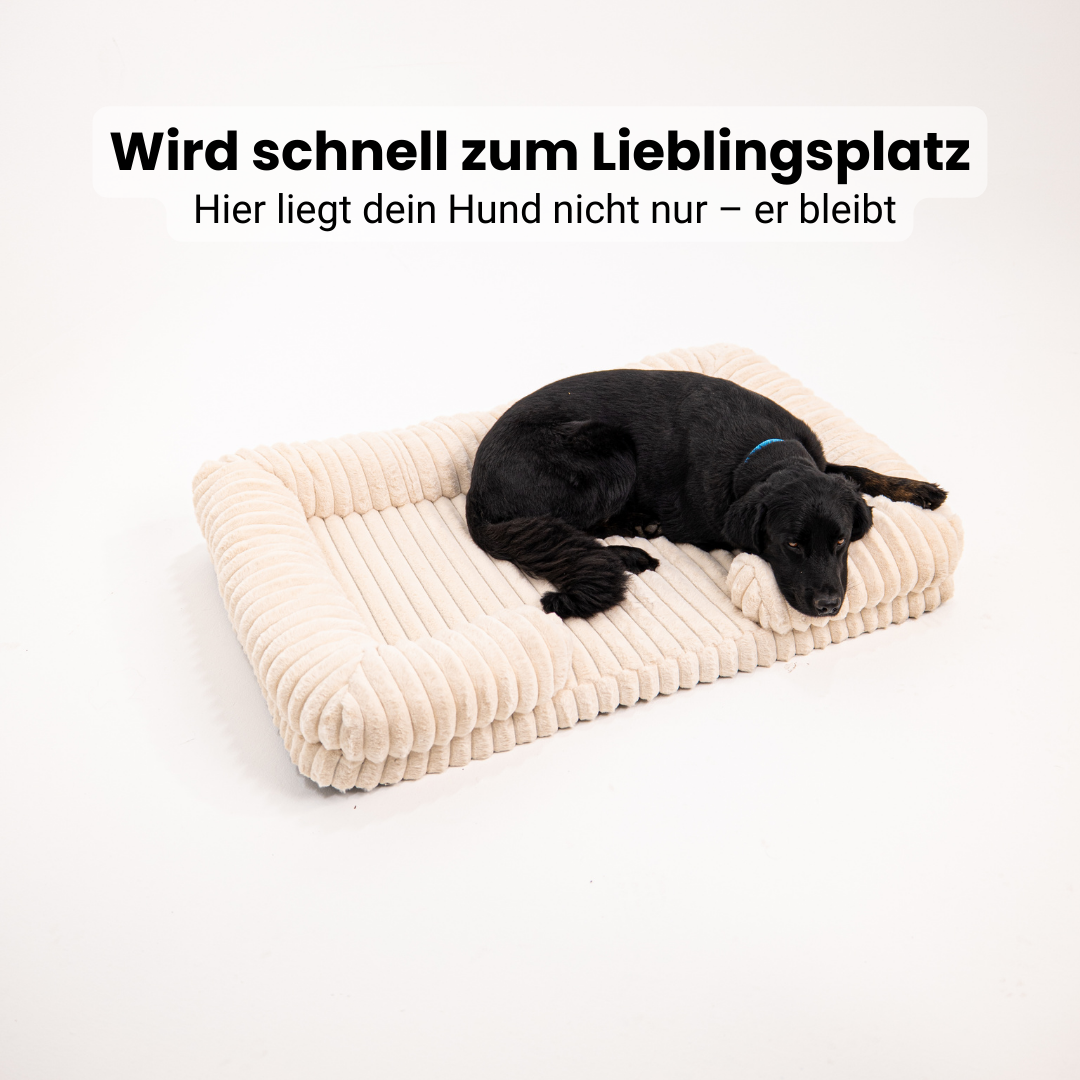 Lunero DeepSleep - orthopädisches Hundebett