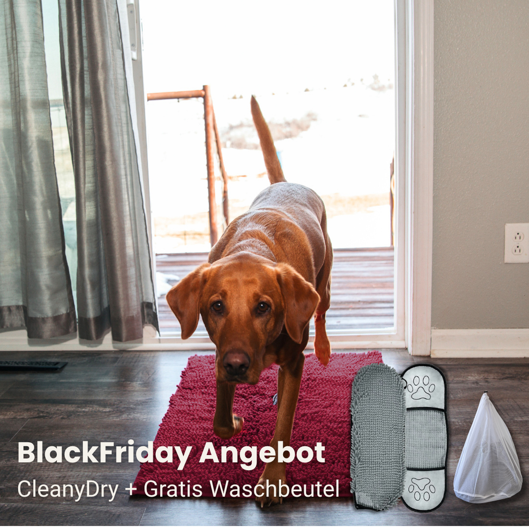 CleanyMat und CleanyDry & Gratis Waschbeutel