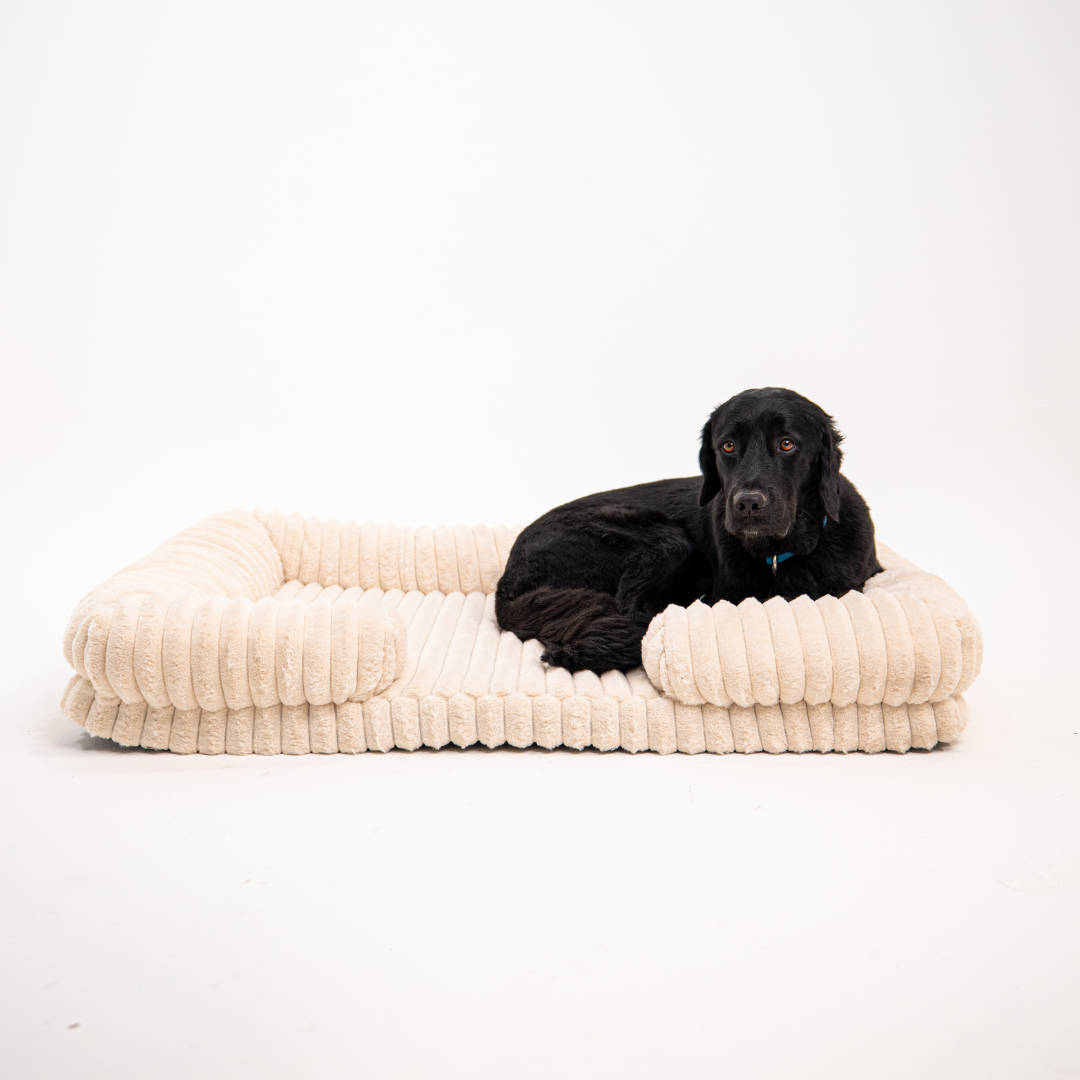 Lunero DeepSleep - orthopädisches Hundebett