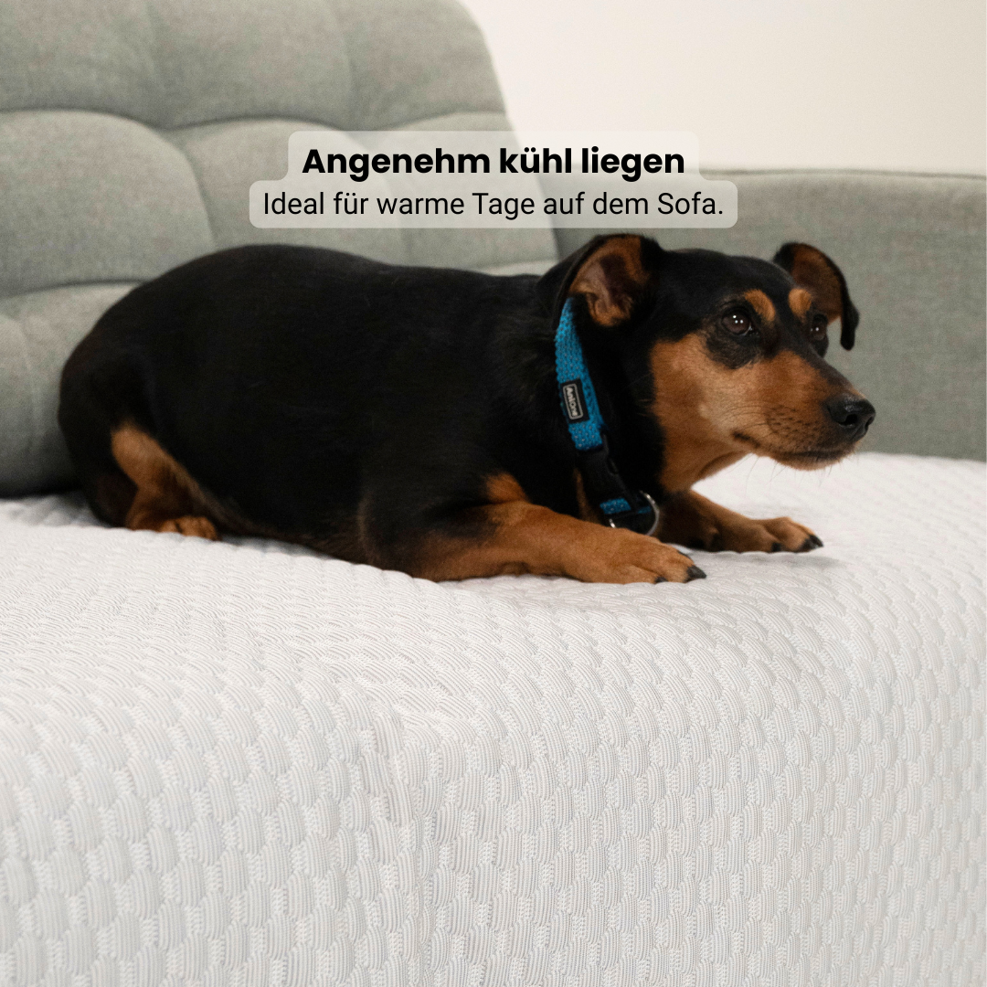 Sofa Guard - Breeze