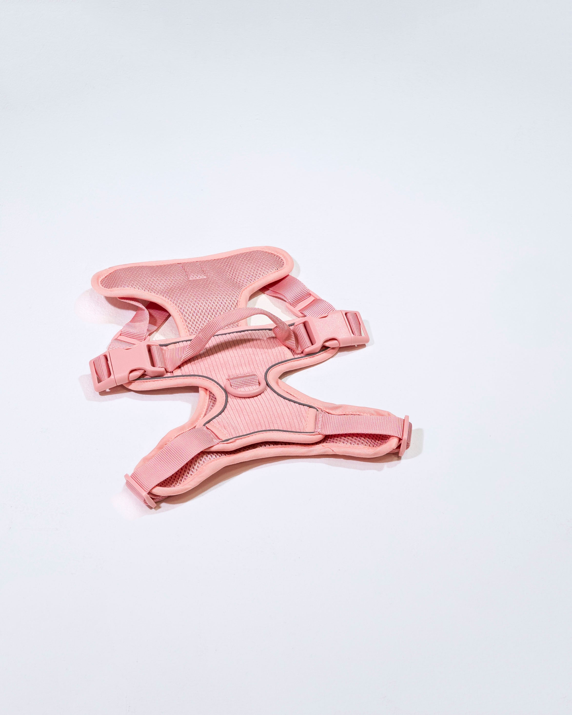 Rose Cordélia Geschirr