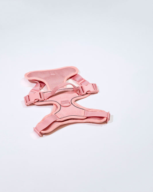 Rose Cordélia Geschirr