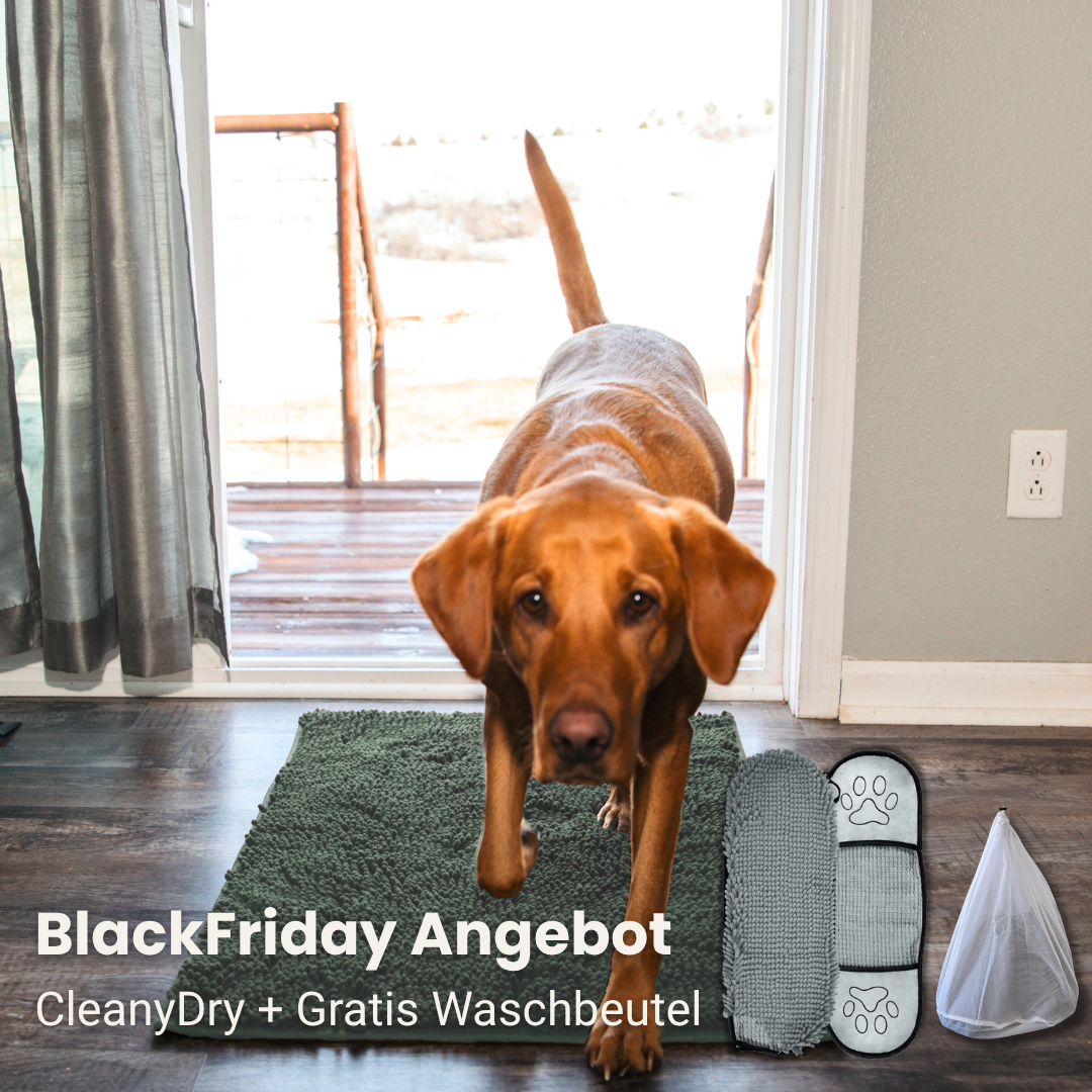 CleanyMat und CleanyDry & Gratis Waschbeutel