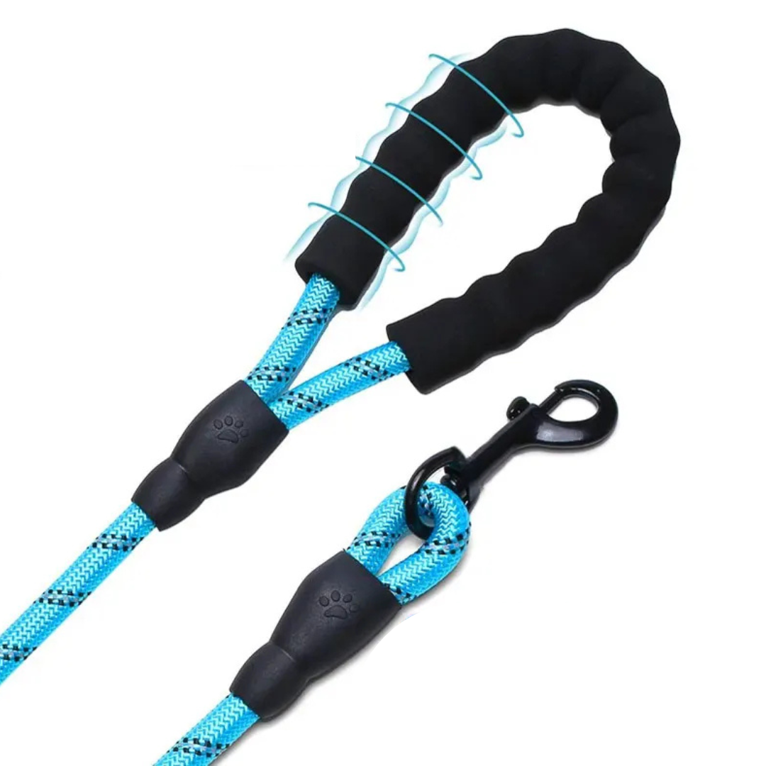 Black Friday Angebot