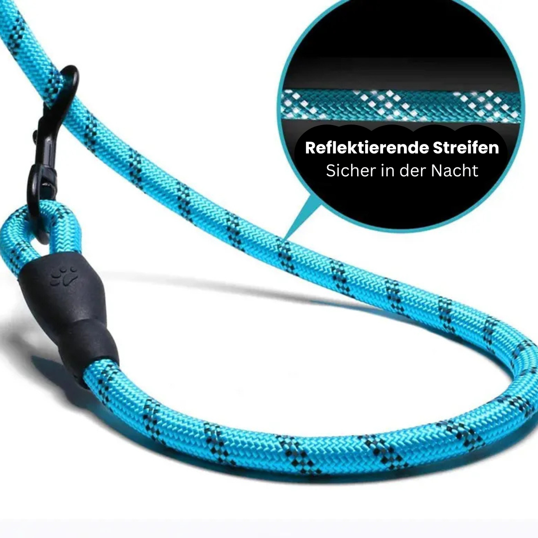 Black Friday Angebot