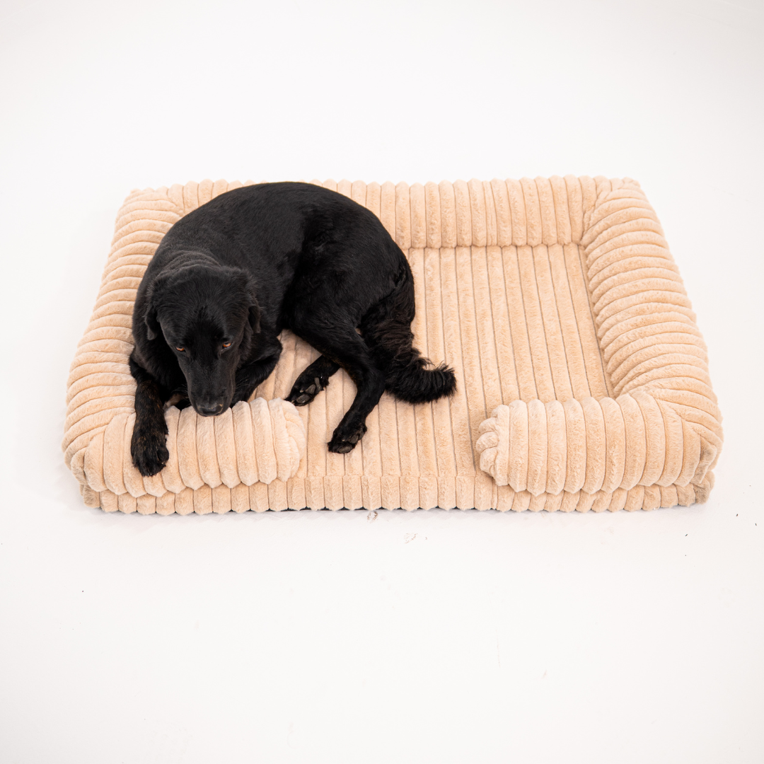 Lunero DeepSleep - orthopädisches Hundebett