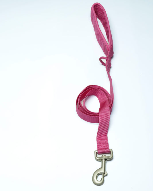 Pink Punch Cordélia Leine