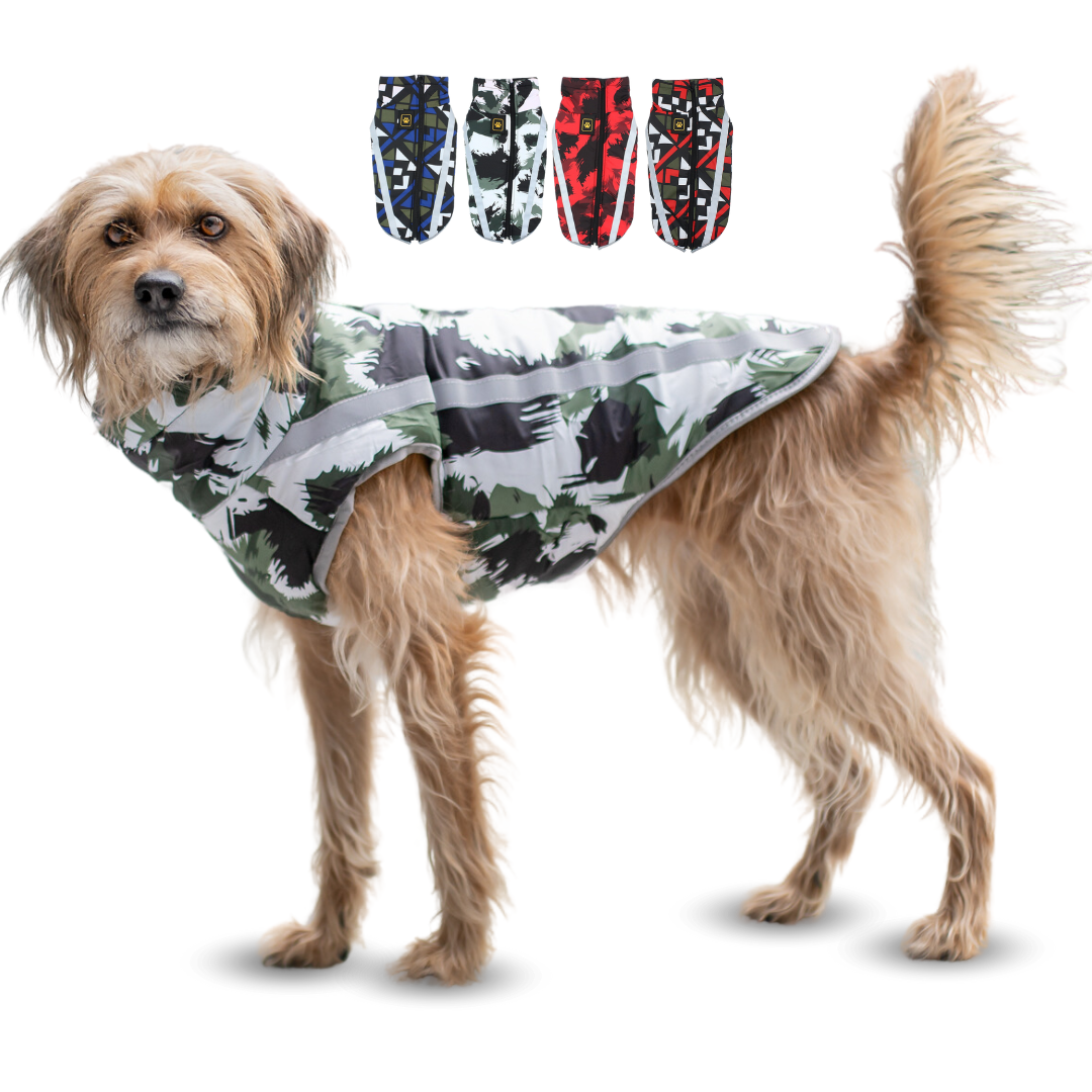 Active+ Thermo Hundemantel