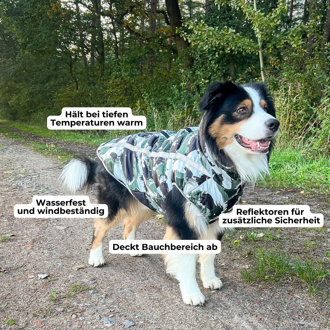 Black Friday Angebot