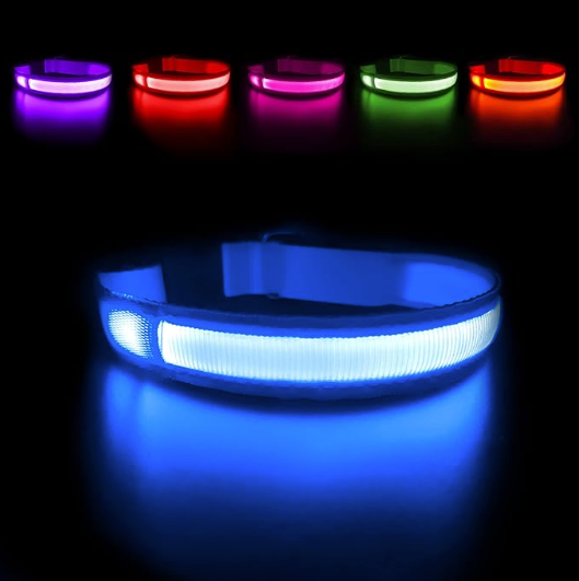 LED-Halsband