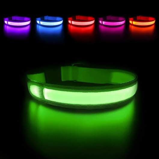 LED-Halsband
